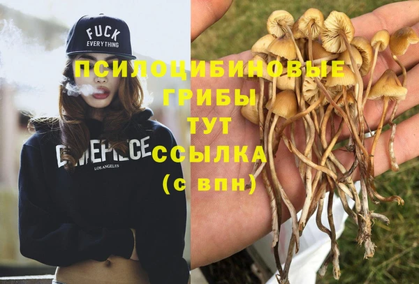 2c-b Дмитров