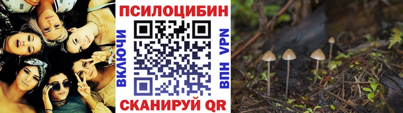 Галлюциногенные грибы Magic Shrooms  Павловск 